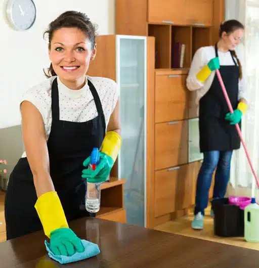 House and office cleaning maids